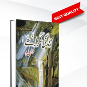 ZINDAGI GULZAR HAI | زندگی گلزار ہے