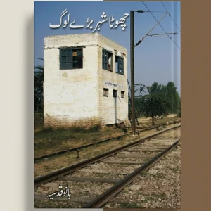 Chota Shehar Baray Log Drama by Bano Qudsia